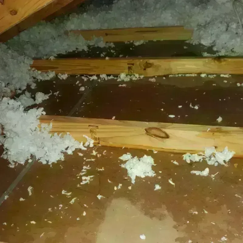 Attic Water Damage in Breezy Point, MN