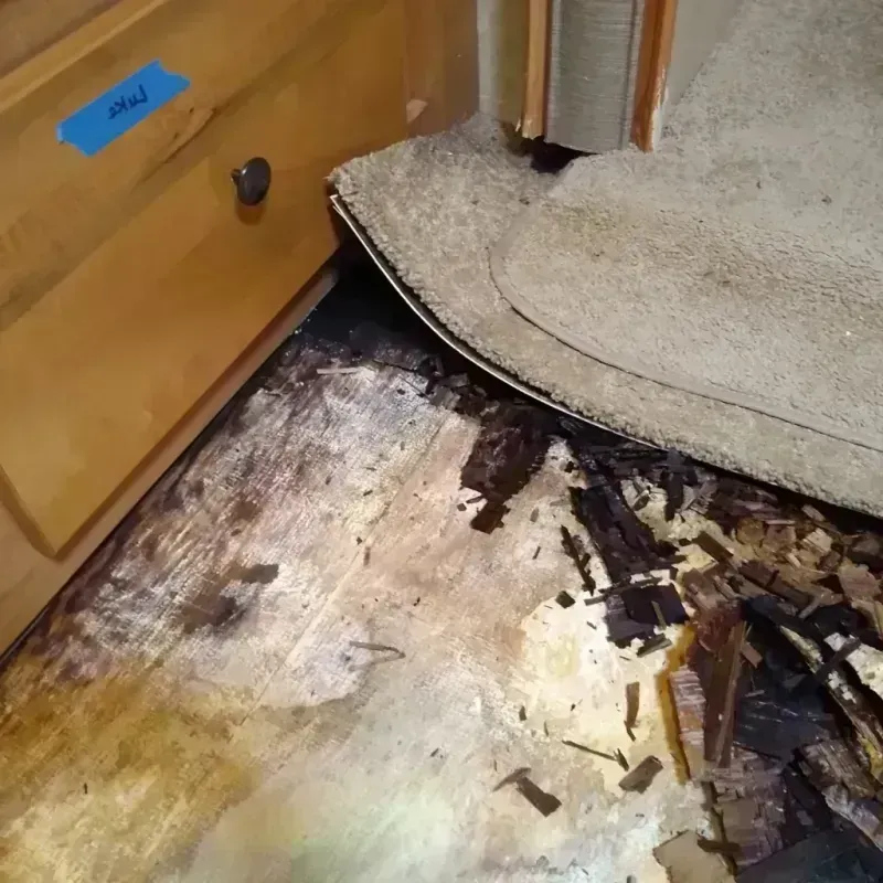 Best Wood Floor Water Damage Service in Breezy Point, MN